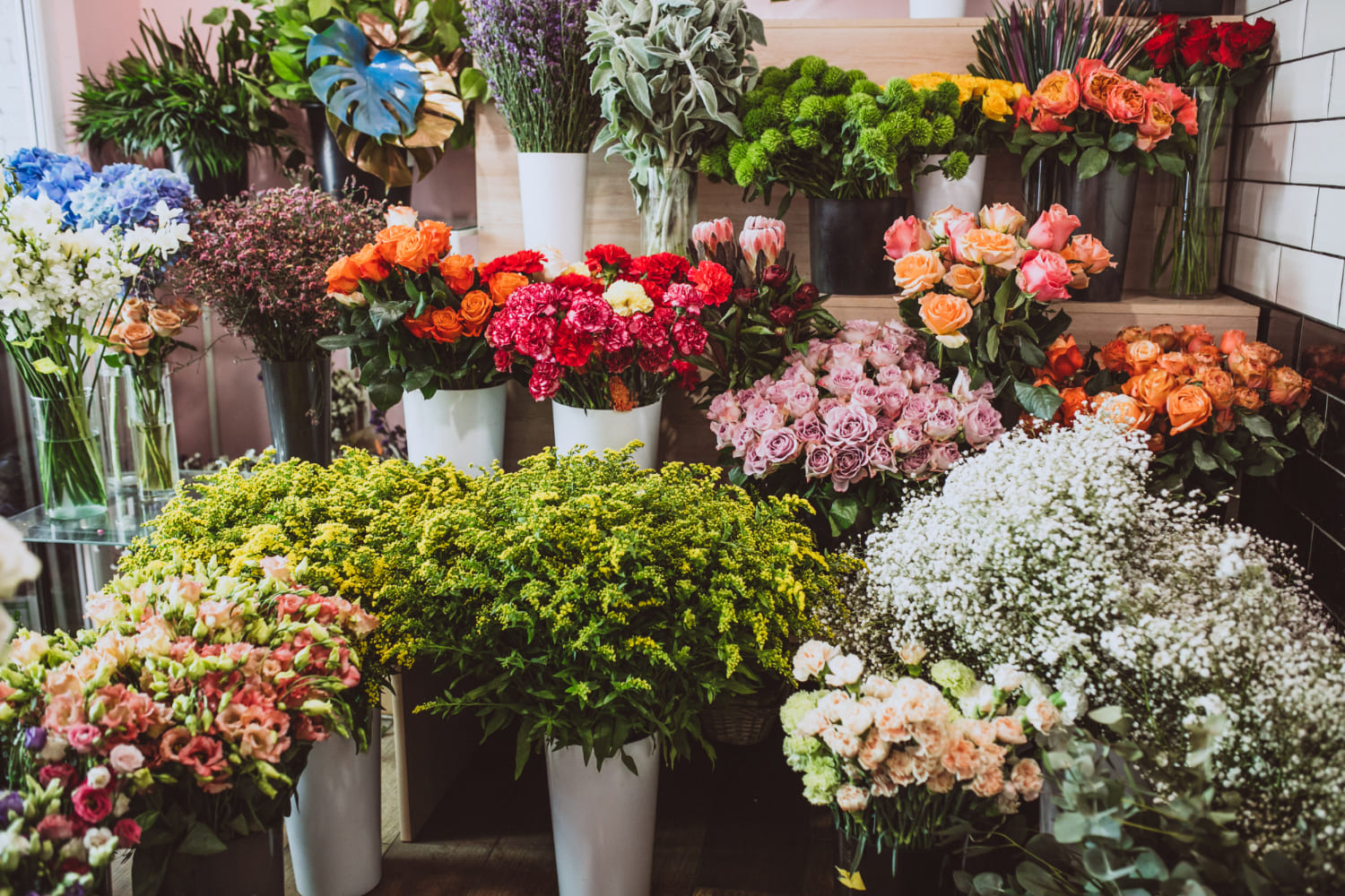 fleurs-dans-magasin-fleurs-differents-types
